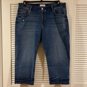 Lane Bryant Jean Capri